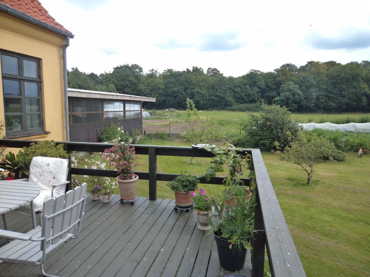 Villa Skovgarden à Hillerød Extérieur photo